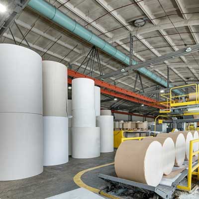 Pulp-and-Paper